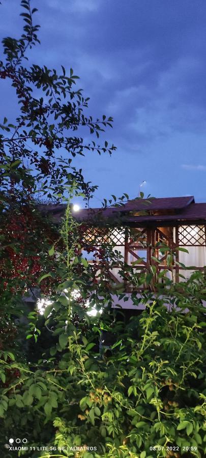 Guest House Albatros Cholpon-Ata Kültér fotó