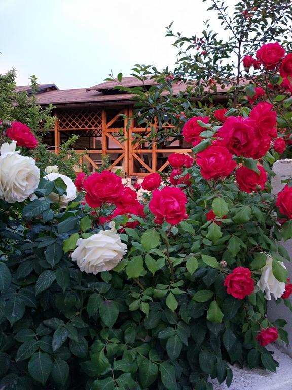 Guest House Albatros Cholpon-Ata Kültér fotó