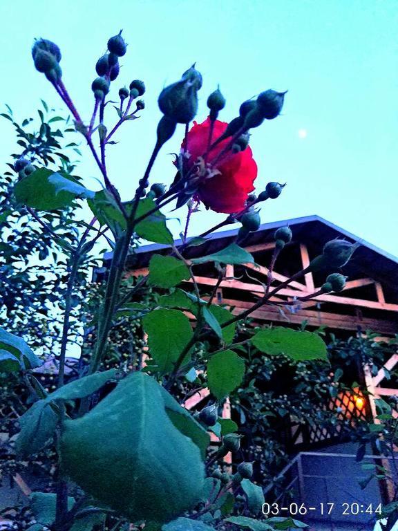 Guest House Albatros Cholpon-Ata Kültér fotó